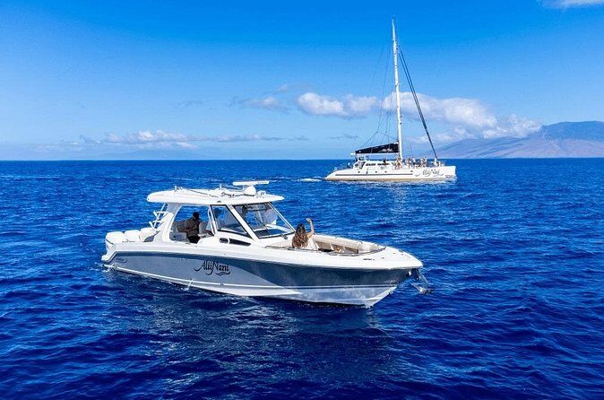 Luxury 6 passenger Boston Whaler Private Charter - Who Will Love This Tour?