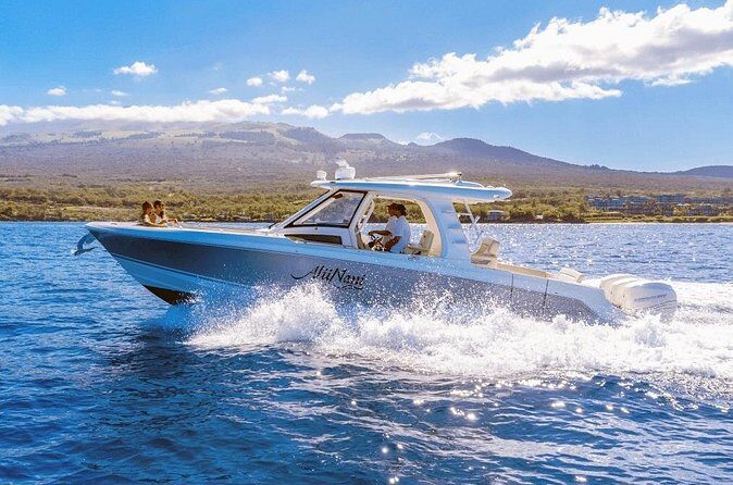 Luxury 6 passenger Boston Whaler Private Charter - The Sum Up