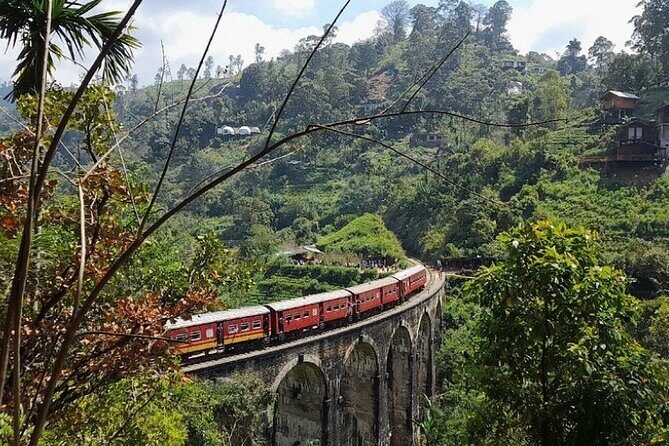 Luxury 7 Days Cultural Triangle Tour in Sri Lanka - The Practicalities: Transportation, Pricing, and Value