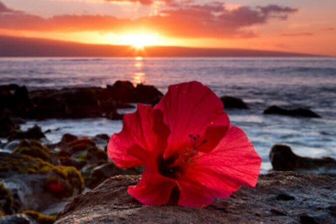 Luxury Airport Transfer in Hawaii - An In-Depth Look at the Experience