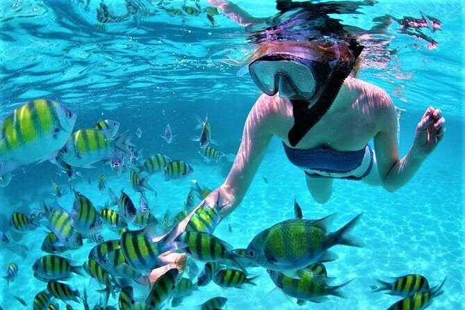Luxury All-Inclusive Catamaran Cruise to Ile aux Cerfs and GRSE Waterfall - FAQ