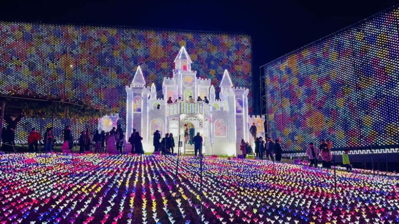 Luxury Ashikaga Flowers Park Tour With Pickup & Drop off - Key Points