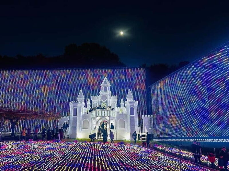 Luxury Ashikaga Flowers Park Tour With Pickup & Drop off - An In-Depth Look at the Ashikaga Flowers Park Tour