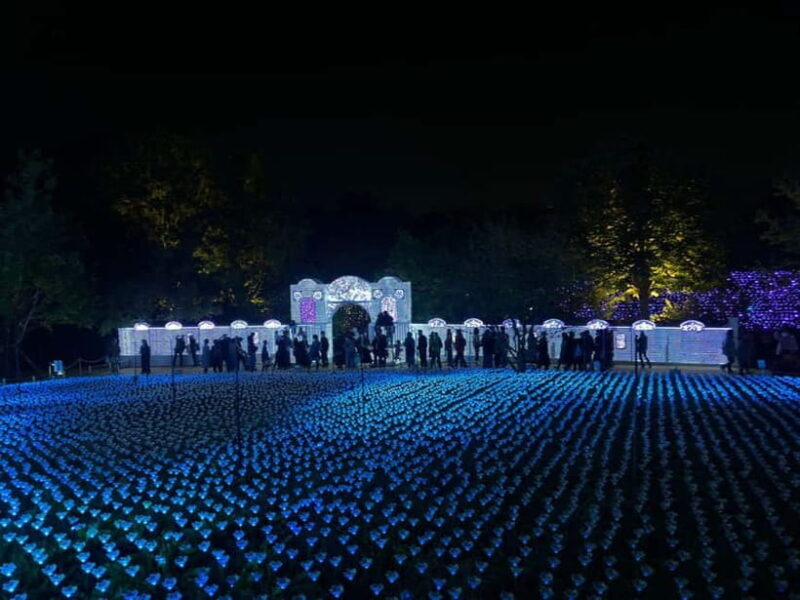 Luxury Ashikaga Flowers Park Tour With Pickup & Drop off - FAQs