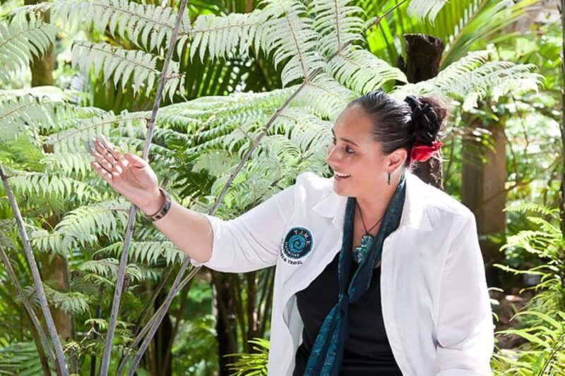 Luxury Auckland Maori Tour - West Coast Wilderness & Rainforest
