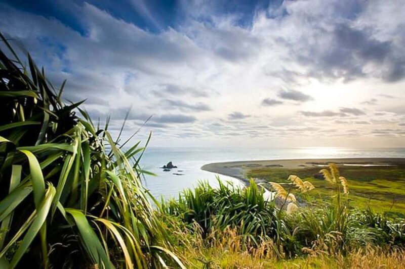 Luxury Auckland Maori Tour - Beaches and Black Sand