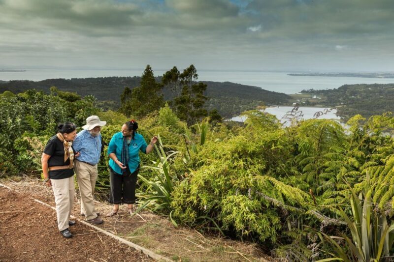 Luxury Auckland Maori Tour - Potential Drawbacks
