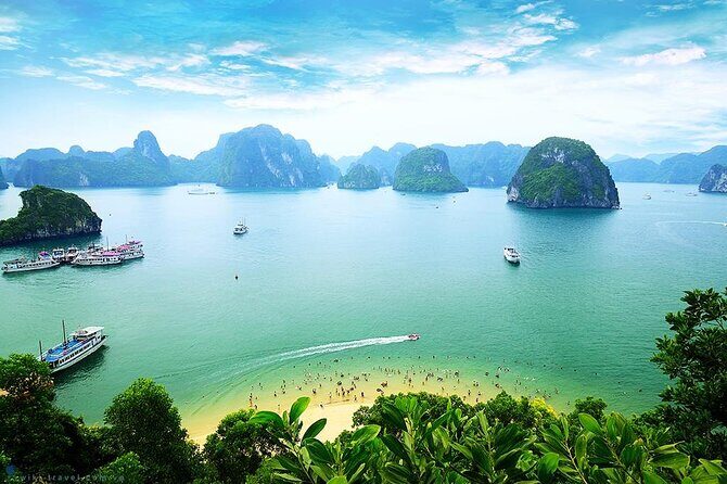 Luxury Bai Tu Long Cruise - Halong Day Trip from Hanoi - Considering the Experience: What Travelers Say