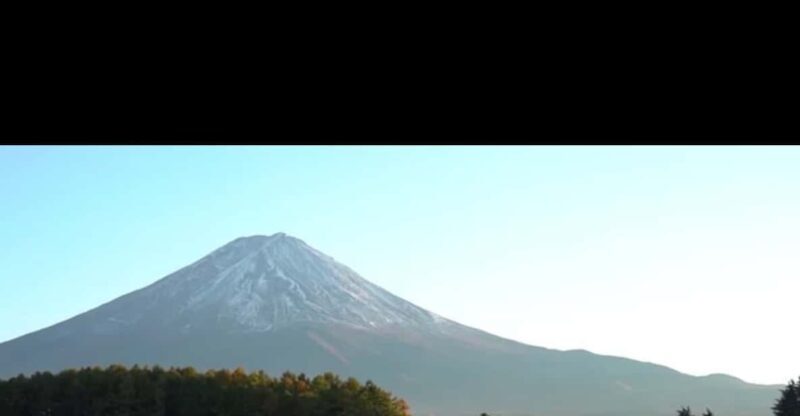 Luxury Benz Private Day Trip to Mount Fuji with Guide - Introduction: An Authentic Day with Mount Fuji
