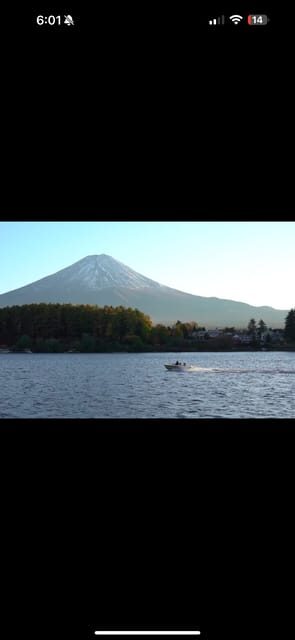 Luxury Benz Private Day Trip to Mount Fuji with Guide - The Value and Practicality of This Tour