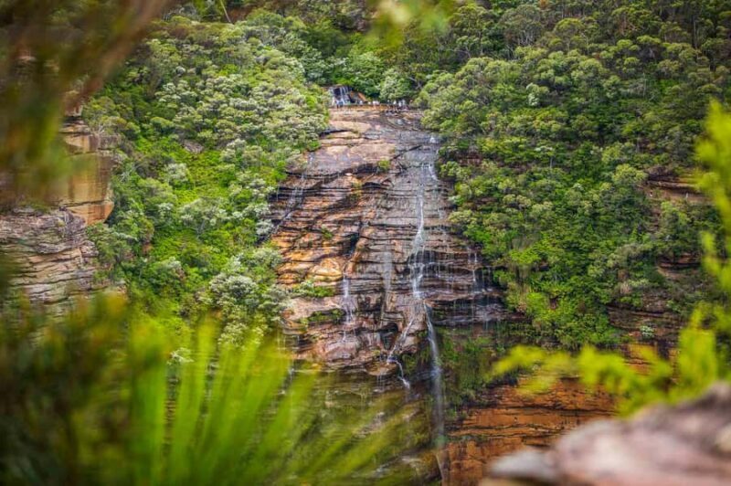 Luxury Blue Mountains Escape The Crowds Tour - Starting in Sydney: A Stress-Free Pickup