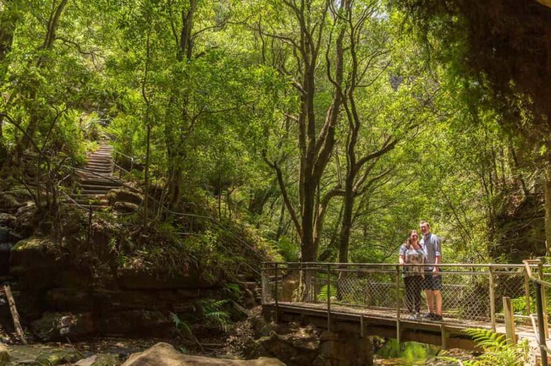 Luxury Blue Mountains Escape The Crowds Tour - Wildlife and Nature Sounds