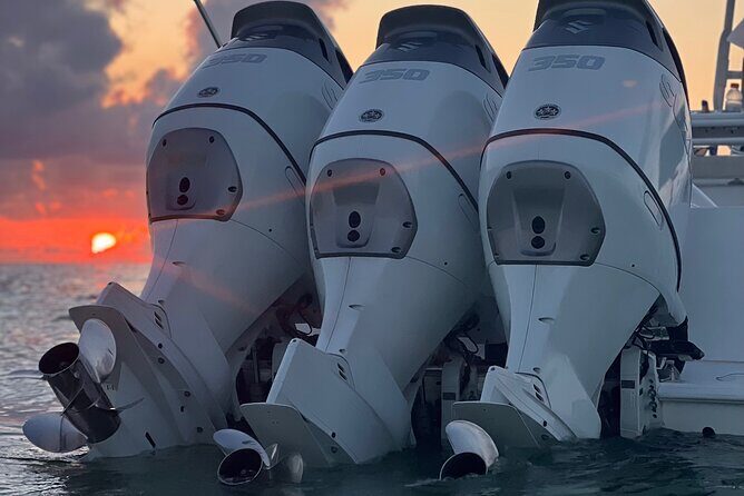 Luxury boat excursions in key west! - Authentic Feedback and Insights