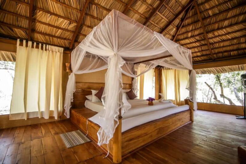 Luxury Camping and Safari Experience in Yala Park - Is This Tour Right for You?