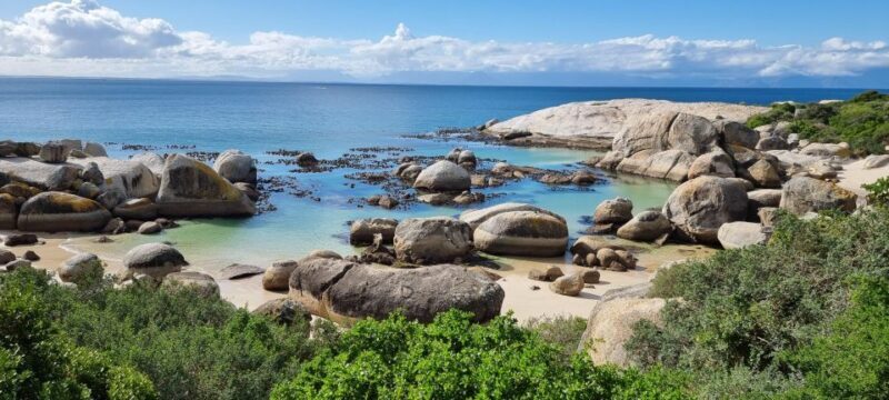 Luxury Cape of Good Hope & Penguin Tour - An In-Depth Look at the Tour