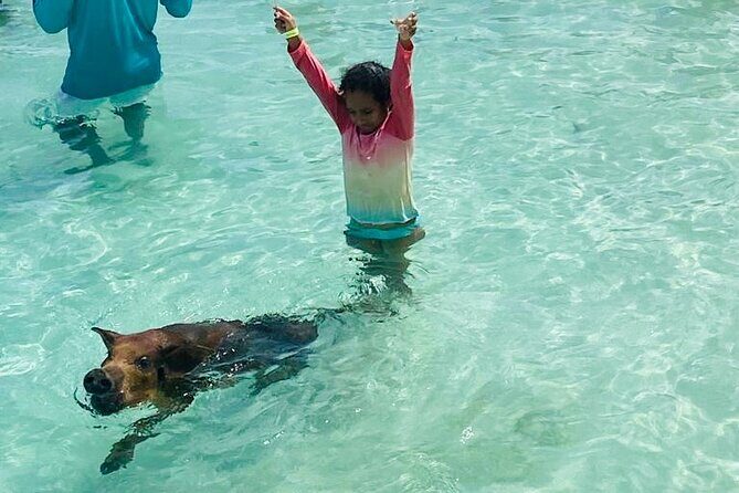 Luxury Catamaran Cruise: Sip, Sail, Snorkel, and Swim with Pigs! - Authenticity and Guest Experience