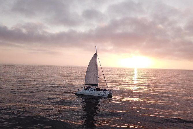 Luxury Catamaran Sailing Charter of San Diego - How the Experience Feels — From the Reviews