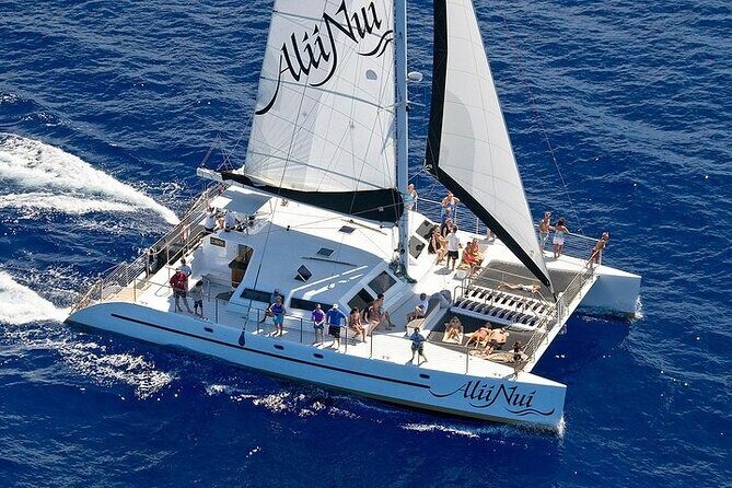 Luxury Catamaran Whale Watch - The Itinerary and What to Expect