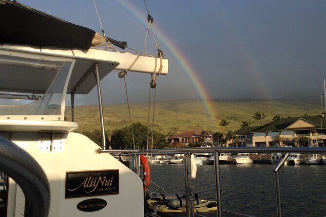 Luxury Catamaran Whale Watch - Analyzing the Value