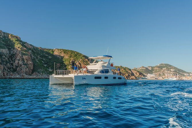 Luxury Catamaran Whale Watching Cabo San Lucas - Exploring the Experience in Detail