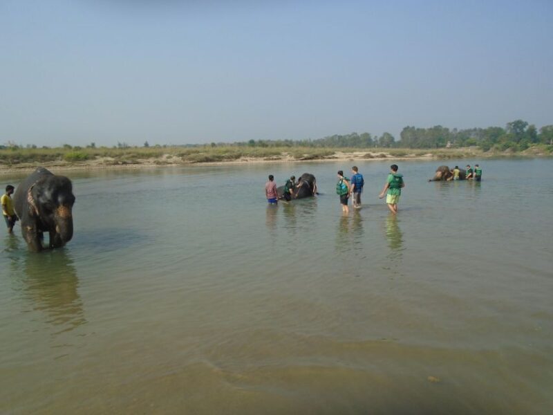 Luxury Chitwan Jungle Safari Package (2Nights/3Days) Resort - An Introduction to the Chitwan Jungle Safari
