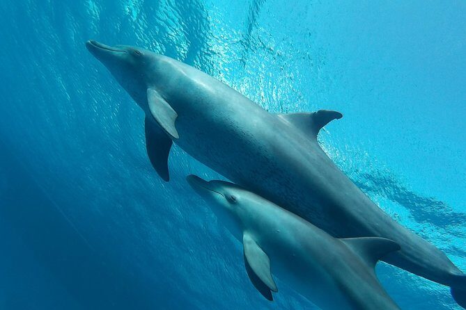Luxury Cruise inc. Snorkeling/Massage/Island/water sport & Lunch - The Itinerary: What to Expect