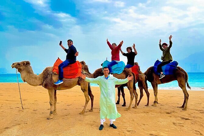 Luxury day in Tangier from Tarifa including ferry & camel ride . - Key Points