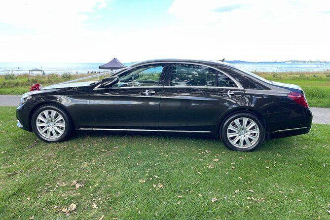 Luxury Day Tours Auckland - Diving Into the Details of This Luxury Transfer Service