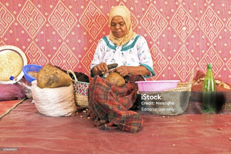 Luxury day trip to Essaouira from Marrakech - Final Thoughts: Who Should Consider This Trip?