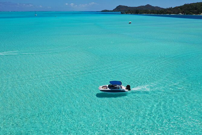 Luxury Full Day Snorkeling - What the Reviews Say
