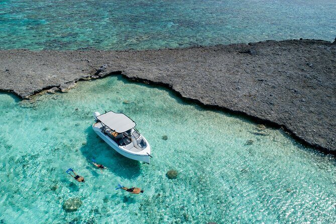 Luxury Full Day Snorkeling - Final Thoughts: Who Should Consider This Tour?