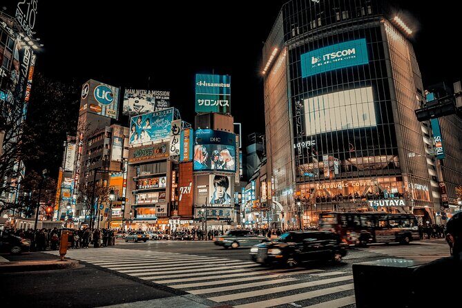 Luxury Haneda Airport Transfer including 2 hours Standby Time - Practical Details & Getting Started