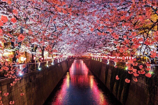 Luxury Haneda Airport Transfer including 2 hours Standby Time - What Past Travelers Say