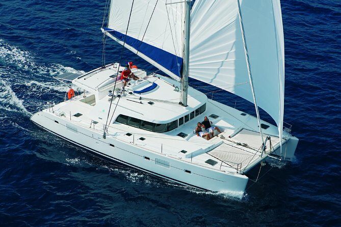 Luxury Hawaiian Sea Turtle, Dolphin Sail and Kona Snorkel - A Closer Look at the Experience
