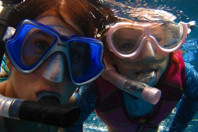 Luxury Hawaiian Sea Turtle, Dolphin Sail and Kona Snorkel - Final Words