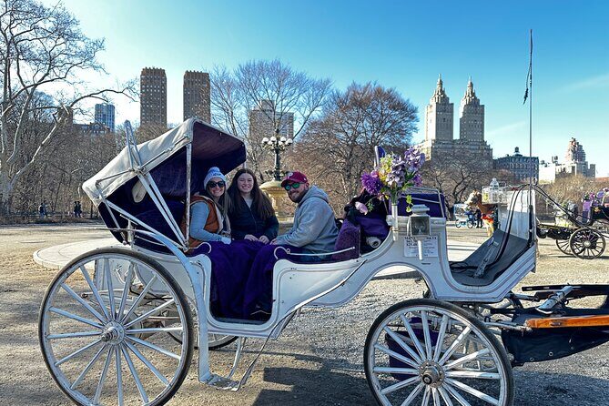 Luxury Horse and Carriage Tours in Central Park - Exploring Central Park in Style: The Carriage Tour Overview