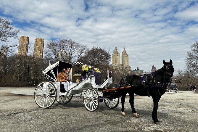 Luxury Horse and Carriage Tours in Central Park - What It Means for You