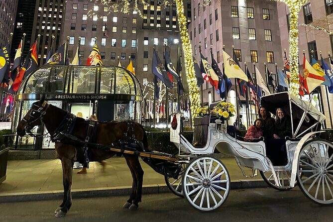 Luxury Horse and Carriage Tours in Central Park - Practical Details That Matter