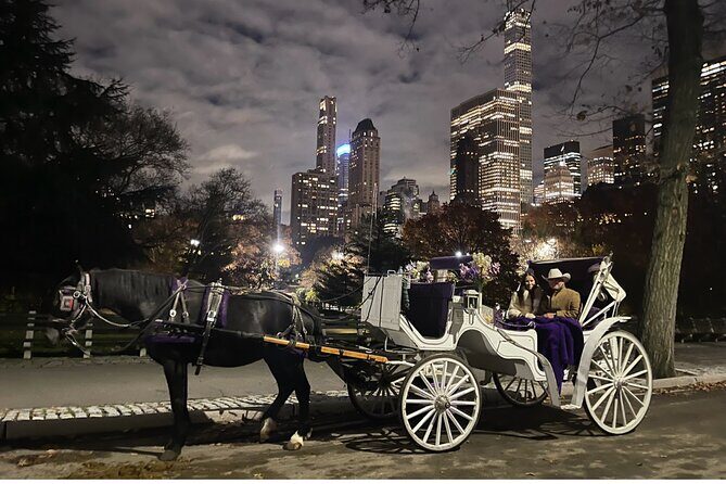 Luxury Horse and Carriage Tours in Central Park - The Sum Up