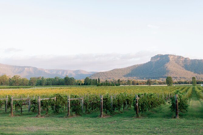 Luxury Hunter Valley Wine Tour with Fine Dining - The Itinerary: A Closer Look