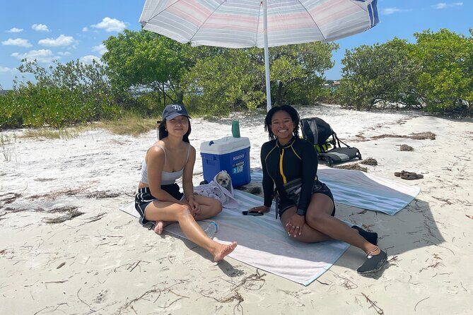 Luxury Kayak Tour To An Island Off Clearwater Beach! - (Tandem) - What to Expect From the Experience