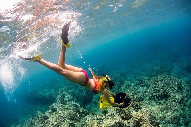 Luxury Kona Coast Snorkel Tour Including Lunch - The Sum Up