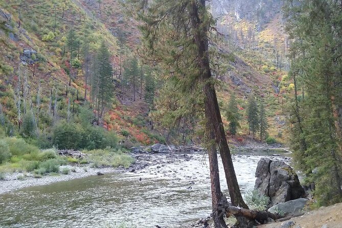 Luxury Leavenworth Day Trip through the Cascade Mountains - Transportation and Comfort