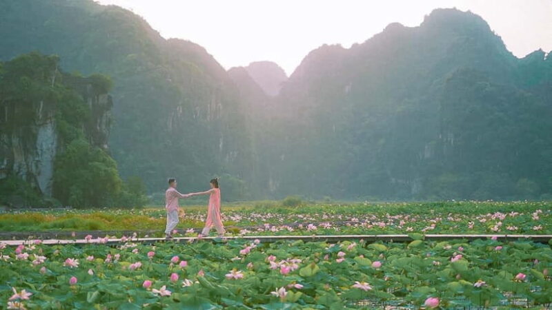 Luxury Limousine Tour: Hoa Lu, Trang An/Tam Coc & Mua Cave - Why This Tour Works for Travelers