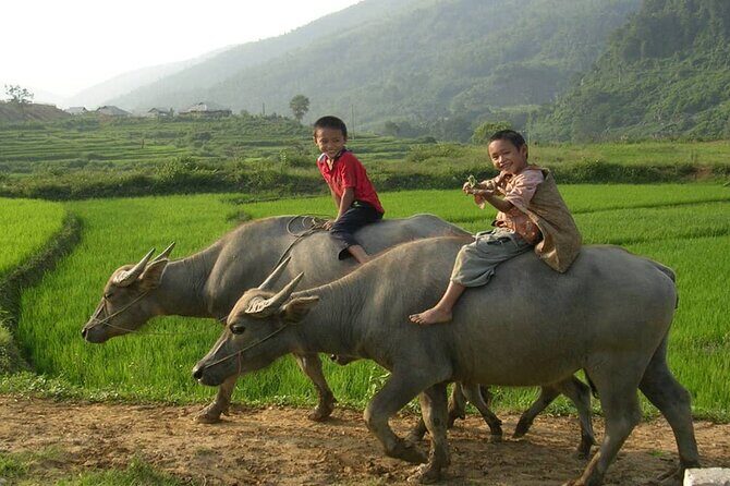 Luxury Mai Chau Day Tour from Hanoi - The Sum Up: Who Will Love This Tour?