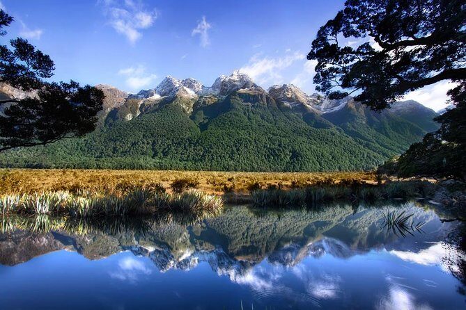 Luxury Milford Sound Coach and Scenic Cruise - The Journey: What to Expect