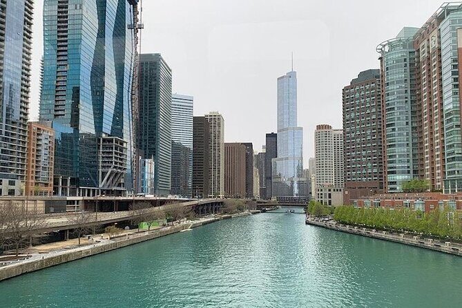 Luxury Minibus Chicago City Tour - Who Will Love This Tour?