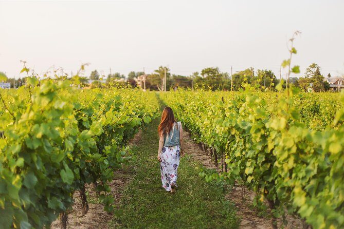 Luxury Niagara Falls Day Trip from Toronto with Cruise and Lunch - The Sum Up