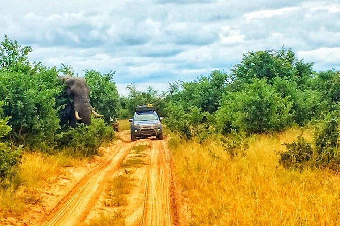 Luxury Okavango Safari - 3 Day - Who Would Love This Tour?