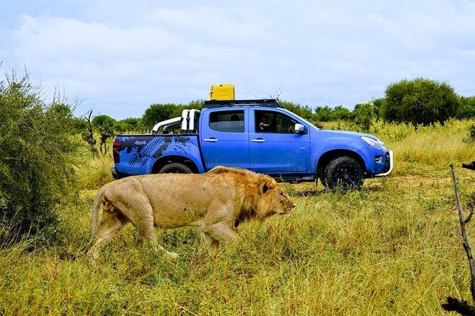 Luxury Okavango Safari - 3 Day - Final thoughts